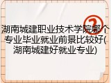 湖南城建职业技术学院哪个专业毕业就业前景比较好(湖南城建好就业专业)