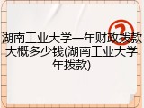 湖南工业大学一年财政拨款大概多少钱(湖南工业大学年拨款)