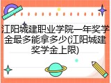 江阳城建职业学院一年奖学金最多能拿多少(江阳城建奖学金上限)