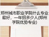 郑州城市职业学院什么专业最好，一年招多少人(郑州学院优势专业)