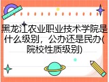 黑龙江农业职业技术学院是什么级别，公办还是民办(院校性质级别)