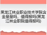 黑龙江林业职业技术学院含金量量吗，值得报吗(黑龙江林业职院值得报吗)