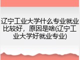辽宁工业大学什么专业就业比较好，原因是啥(辽宁工业大学好就业专业)