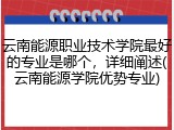 云南能源职业技术学院最好的专业是哪个，详细阐述(云南能源学院优势专业)