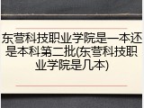 东营科技职业学院是一本还是本科第二批(东营科技职业学院是几本)