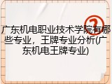 广东机电职业技术学院有哪些专业，王牌专业分析(广东机电王牌专业)