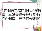 广西制造工程职业技术学院是一本吗录取分数线多少(广西制造工程学院分数线)