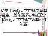 辽宁中医药大学杏林学院毕业生一般年薪多少钱(辽宁中医药大学杏林学院毕业生年薪)