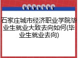 石家庄城市经济职业学院毕业生就业大致去向如何(毕业生就业去向)