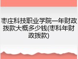 枣庄科技职业学院一年财政拨款大概多少钱(枣科年财政拨款)