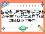 盐城幼儿师范高等专科学校的学生毕业都怎么样了(盐幼师毕业生去向)