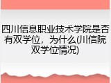 四川信息职业技术学院是否有双学位，为什么(川信院双学位情况)