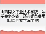 山西同文职业技术学院一年学费多少钱，还有哪些费用(山西同文学院学费)