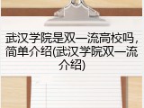 武汉学院是双一流高校吗，简单介绍(武汉学院双一流介绍)