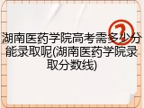 湖南医药学院高考需多少分能录取呢(湖南医药学院录取分数线)