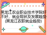 黑龙江农业职业技术学院好不好，就业现状及发展趋势(黑龙江农职就业趋势)