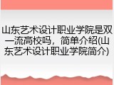 山东艺术设计职业学院是双一流高校吗，简单介绍(山东艺术设计职业学院简介)