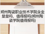 朔州陶瓷职业技术学院含金量量吗，值得报吗(朔州陶瓷学院值得报吗)