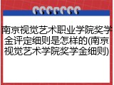 南京视觉艺术职业学院奖学金评定细则是怎样的(南京视觉艺术学院奖学金细则)