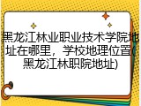 黑龙江林业职业技术学院地址在哪里，学校地理位置(黑龙江林职院地址)
