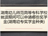 湖南幼儿师范高等专科学校就读期间可以申请哪些奖学金(湖南幼专奖学金种类)