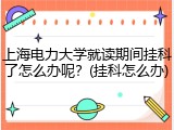 上海电力大学就读期间挂科了怎么办呢？(挂科怎么办)