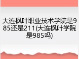 大连枫叶职业技术学院是985还是211(大连枫叶学院是985吗)