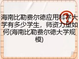 海南比勒费尔德应用科学大学有多少学生，师资力量如何(海南比勒费尔德大学规模)