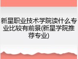 新星职业技术学院读什么专业比较有前景(新星学院推荐专业)