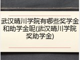 武汉晴川学院有哪些奖学金和助学金呢(武汉晴川学院奖助学金)