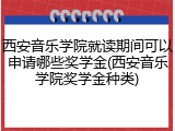 西安音乐学院就读期间可以申请哪些奖学金(西安音乐学院奖学金种类)