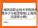上海民远职业技术学院高考需多少分能录取呢(上海民远录取分数)