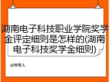 湖南电子科技职业学院奖学金评定细则是怎样的(湖南电子科技奖学金细则)