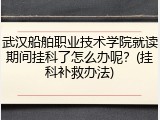 武汉船舶职业技术学院就读期间挂科了怎么办呢？(挂科补救办法)