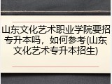 山东文化艺术职业学院要招专升本吗，如何参考(山东文化艺术专升本招生)