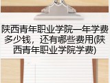 陕西青年职业学院一年学费多少钱，还有哪些费用(陕西青年职业学院学费)