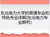 东北电力大学的普通专业和特色专业详解(东北电力专业解析)