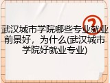 武汉城市学院哪些专业就业前景好，为什么(武汉城市学院好就业专业)