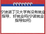 宁波诺丁汉大学有没有就业指导，好就业吗(宁诺就业指导如何)