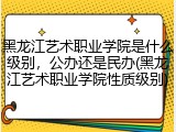 黑龙江艺术职业学院是什么级别，公办还是民办(黑龙江艺术职业学院性质级别)