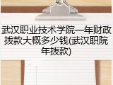 武汉职业技术学院一年财政拨款大概多少钱(武汉职院年拨款)