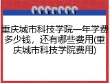 重庆城市科技学院一年学费多少钱，还有哪些费用(重庆城市科技学院费用)
