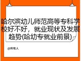 哈尔滨幼儿师范高等专科学校好不好，就业现状及发展趋势(哈幼专就业前景)