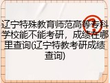 辽宁特殊教育师范高等专科学校能不能考研，成绩在哪里查询(辽宁特教考研成绩查询)
