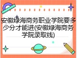 安徽绿海商务职业学院要多少分才能进(安徽绿海商务学院录取线)