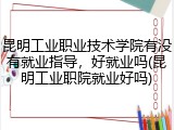 昆明工业职业技术学院有没有就业指导，好就业吗(昆明工业职院就业好吗)
