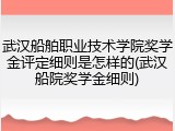 武汉船舶职业技术学院奖学金评定细则是怎样的(武汉船院奖学金细则)