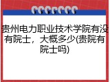 贵州电力职业技术学院有没有院士，大概多少(贵院有院士吗)