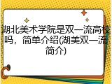 湖北美术学院是双一流高校吗，简单介绍(湖美双一流简介)