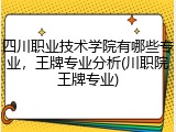 四川职业技术学院有哪些专业，王牌专业分析(川职院王牌专业)
